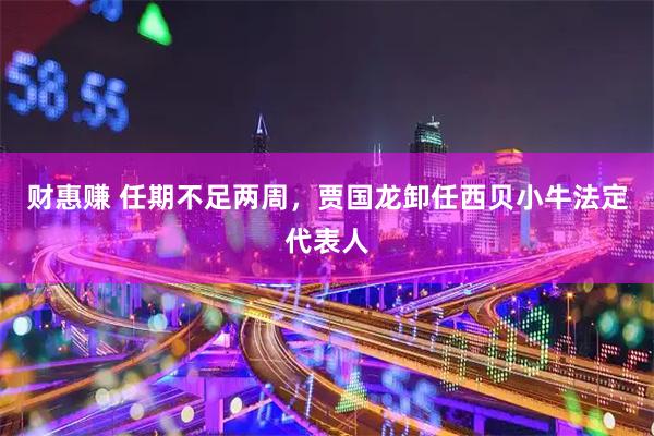 财惠赚 任期不足两周，贾国龙卸任西贝小牛法定代表人